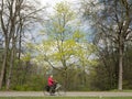 Old lady rides bicycle in spring on road near utrecht in the netherlands