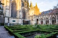 Utrecht, Netherlands - January 06, 2020. Pandhof garden of the Dom Church is one of Holland most beautiful inner courtyards