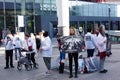 Animal rights activist protesting, Netherlands