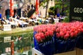 UTRECHT, NETHERLANDS - OCTOBER 20. 2018: View on bouquets of pink tulips near water canal on flower market Royalty Free Stock Photo