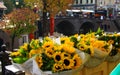 UTRECHT, NETHERLANDS - OCTOBER 20. 2018: View on bouquets of yellow sunflowers near water canal on flower market Royalty Free Stock Photo
