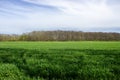 Utrecht Zuilen nature park near the city and slot Zuylen forest Royalty Free Stock Photo