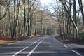 Utrechtseweg N225 between wageningen and Renkum with trees along road in the winter.