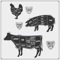Uts of meat. Chicken, pork and beef. Vintage style.