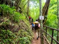 Uttaradit Province, Thailand - July, 24, 2023 : view along the way of Phu Soi Dao National Park, north of Thailand.