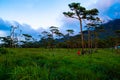 Uttaradit, Thailand, September 14,2019: Beautiful landscape of Phu Soi Dao, Nampad.