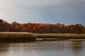 utumn forest on the bank of the river and its reflection in the water Royalty Free Stock Photo