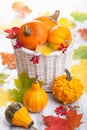 Utumn halloween decorative pumpkins in basket