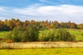 ÃÂutumn landscape. Park in autumn. Landscape birches with autumn forest. Dry grass in the foreground