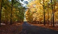 Autumn in Manassas Battlefield Park, Manassas, VA Royalty Free Stock Photo