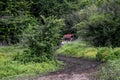 Utv vehicle rzr running in the rally called the cafe route