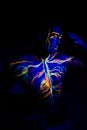 UV patterns body art of the circulatory system on a man`s body. On the chest of a muscular athlete, veins and arteries