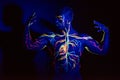 UV patterns body art of the circulatory system on a man`s body. On the chest of a muscular athlete, veins and arteries are drawn