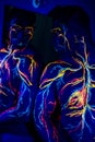 UV patterns body art of the circulatory system on a man`s body. On the chest of a muscular athlete, veins and arteries