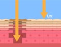 Uv protection , ultraviolet comparison