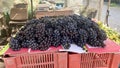 black grapes sold in a free market for making drinks and sweets Royalty Free Stock Photo