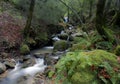 Uvas Canyon Cascading Waterfall Royalty Free Stock Photo