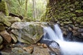 Uvas Canyon Waterfall 1 Royalty Free Stock Photo