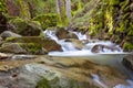 Uvas Canyon Waterfall 2 Royalty Free Stock Photo