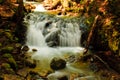 Uvas Canyon Waterfall in Spring Royalty Free Stock Photo