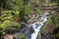 Uvas Canyon Waterfall and Walkway Royalty Free Stock Photo