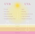 UVB and UVA ultraviolet rays difference. Inforgaphics about sun rays types. Vector Royalty Free Stock Photo