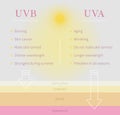 UVB and UVA ultraviolet rays difference. Inforgaphics about sun rays types. Vector