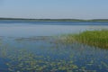 ÃÂ½uvintas is the first reserve in Lithuania that has long been famous as a bird kingdom