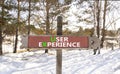 UX user experience symbol. Concept words UX user experience on beautiful wooden road sign. Beautiful forest snow blue sky Royalty Free Stock Photo