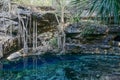 Uxmal, Mexico: Cenote X-Batun.