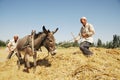 Uygur peasants Royalty Free Stock Photo