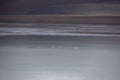 Dramatic landscape of Uyuni in Bolivia, South America where desert meets the mountains Royalty Free Stock Photo