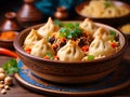 Uzbek and Central Asia cuisine concept. Assorted Uzbek food pilaf samsa manti or manty.