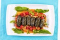 Uzbek cuisine, oriental cuisine. Dolma - Leaves of grapes, boiled rolls with meat, beef and rice. Royalty Free Stock Photo