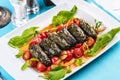 Uzbek cuisine, oriental cuisine. Dolma - Leaves of grapes, boiled rolls with meat, beef and rice. Royalty Free Stock Photo