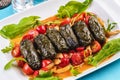 Uzbek cuisine, oriental cuisine. Dolma - Leaves of grapes, boiled rolls with meat, beef and rice. Royalty Free Stock Photo