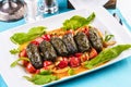 Uzbek cuisine, oriental cuisine. Dolma - Leaves of grapes, boiled rolls with meat, beef and rice. Royalty Free Stock Photo