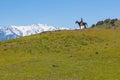 Uzbek horsemen in the Western Tian Shan mountains, Uzbekistan