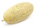 Uzbek Russian melon isolated on white Royalty Free Stock Photo