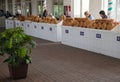 Uzbek women sell flatbrads at Tashkent bazaar. Horizontal