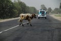 Uzbekistan in the Termez region in the summer of 2018