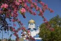 Uzhgorod - the Cathedral of Christ the Savior Royalty Free Stock Photo