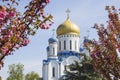 Uzhgorod Orthodox Cathedral, Ukraine Royalty Free Stock Photo