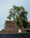 Uzhhorod Castle