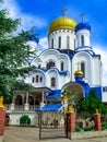 The main entrance to the Uzhhorod Orthodox Cathedral, close-up, vertical. Beautiful modern