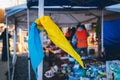 Uzhhorod, Ukraine - 16 March 2022: A handkerchief in the colors of the national flag of Ukraine as a symbol of victory is tied to