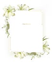 Flowers. Floral background. Lilies. White. Green leaves. Border. Square frame framed by white lilies.