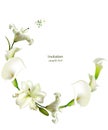 White flowers. Flower background. Calla. Lilies. Green leaves. Wedding invitation. Beautiful wreath of white tropical flowers. Royalty Free Stock Photo