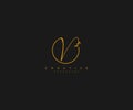 V letter calligraphic monogram emblem style logo