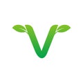 V letter leaf logo design concept